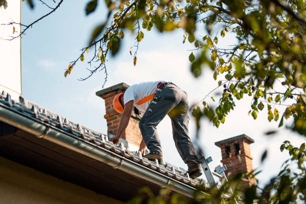 Best Storm Damage Roof Repair  in Franklin Furnace, OH