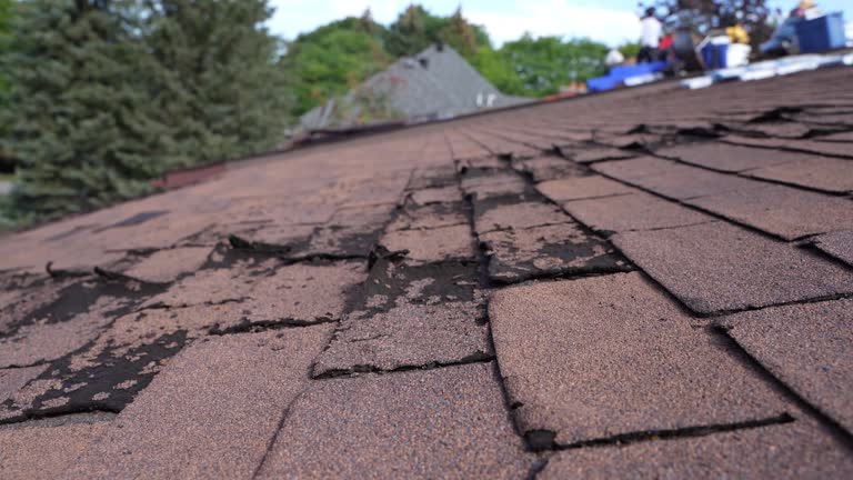 Best Solar Panel Roofing Installation  in Franklin Furnace, OH
